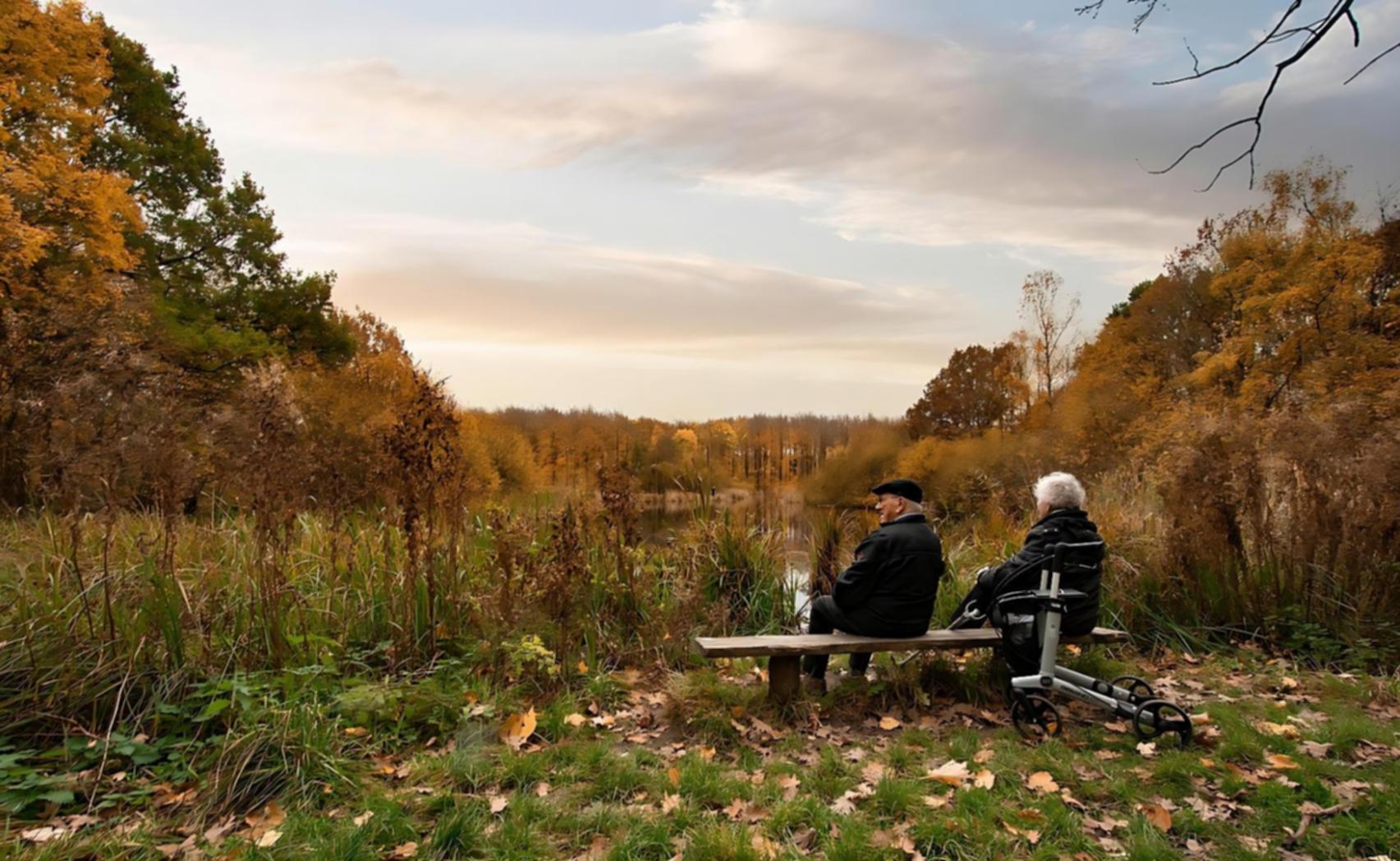 Proceso de trabajo de nutrición para mayores en Prosturaq
